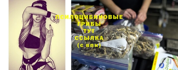 стаф Баксан