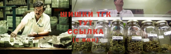трава Балахна