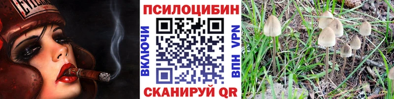 МЕГА ТОР наркота Заводоуковск Псилоцибиновые грибы мухоморы